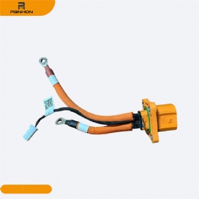 New energy vehicle plug 2CA66C0155
